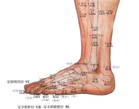 崑崙穴|人體穴位大全——崑崙穴：高血壓、頭痛、腰痛、難產。